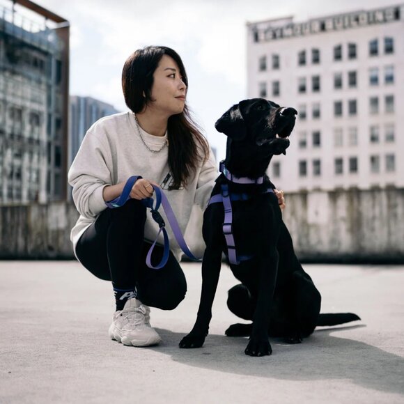 Waterproof Dog Leash Size L in Purple Ombre by "Woof Concept" - Picture 9 of 9